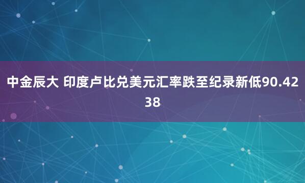 中金辰大 印度卢比兑美元汇率跌至纪录新低90.4238