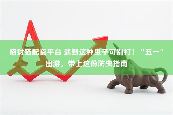 招财猫配资平台 遇到这种虫子可别打！“五一”出游，带上这份防虫指南