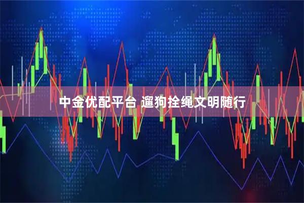 中金优配平台 遛狗拴绳文明随行