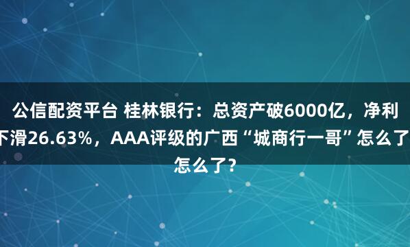 公信配资平台 桂林银行:总资产破6000亿,净利下滑26.63%,AAA评级的广西“城商行一哥”怎么了?